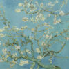 Museum Gicléeprint - Amandier en Fleur de Vincent van Gogh
